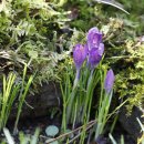 구암농장 이미지