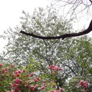 그늘과 빛의 기억 이미지