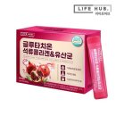 라이프허브