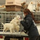 마음담은 동물병원 이미지