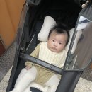 부산어린이대공원 | 부산 초읍 어린이대공원 3개월 아기랑 유모차 산책 후기