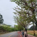 진달래약수터 이미지