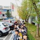 한국체대 최강태권도장 이미지