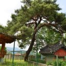 절부마을 이미지