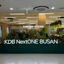 KDB산업은행 부산지점 | 부산조경 사무실조경 휴게실 대형 플랜트박스 인조화분 실내조경 조경인테리어 조화장식 조경업체 그린지대