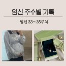 (주)아성다이소 수유본점 | 임신 주수별 기록 33~35주 차 / 33주 배크기 / 출산선물 &amp; 호캉스 / 산모교실 / 막달검사