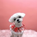 그루머공간 이미지