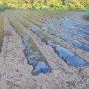 종서농장 이미지