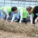 박영태농장 이미지