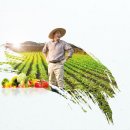 시흥시생명농업기술센터 이미지