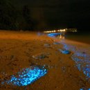 빛나는 바다 이미지