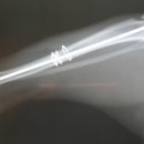 와이즈24시 동물병원 이미지