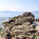 머무름풀펜션 이미지