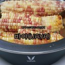 바야 | 여름 옥수수 보관 냄비, 바야 오뜨케이스 스테인레스 보냉 보온냄비 솔직 후기!