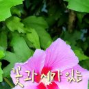 시가 있는 저녁 이미지