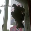 서래아트미술교습소