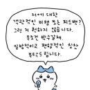 락앤롤데이