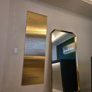 아티스트 인 대구 <김세현> | 홍수연 아티스트에서 여름철 땀과 물놀이에도 끄떡없는 눈썹문씬후기!