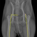 구피동물병원 이미지