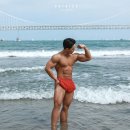 핏불휘트니스 이미지