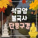 [여행 #12] 석굴암 불국사 가을 단풍놀이 후기 경주 단풍구경 추천지_(경주 주말에 가볼 만한 곳)_ feat...