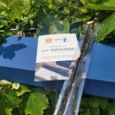 정선 아리랑 농원 이미지