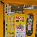 와플대학경산하양캠퍼스