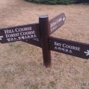 롯데스카이힐제주CC(회원제 18홀) 이미지