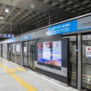 소노캄 고양 이미지