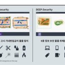 레이시스템 세계일보
