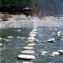 징검다리 이미지