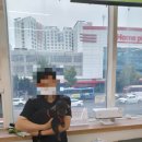 하인츠동물병원 | 강아지 질염치료 용현동 하인츠동물병원 방문 후기
