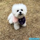 이브겨울이네펜션 이미지