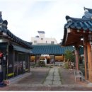 바보낙지 이미지