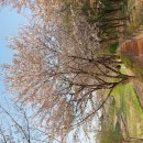 운중천(좌로) 이미지