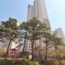 10단지랜드공인중개사사무소 이미지