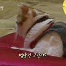상귀농장 이미지