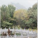 2일차(10.24) 중국선종육조사찰순례 (낙양등봉-초조암,달마동,이조사,소림사-우한역) 이미지