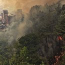 대구매천초등학교 이미지