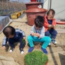 효준 농장 이미지