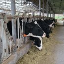 문희농장 이미지