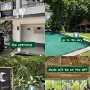 퍼피퍼피(puppy puppy) | 발리 짱구 Happy Puppy Yoga｜짱구 퍼피 요가 가는 법과 솔직 후기 (추천과 비추천 사이)