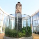 반디랜드 곤충박물관 전시실 이미지