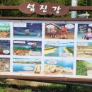 김수곤농장 네이버블로그