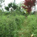 풀천지농장 이미지