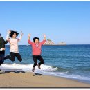 바다여행 이미지