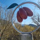 상위마을 입구 이미지