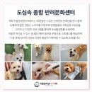 가양유치원 이미지