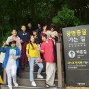 이근재참치 | 🔴동국대학교 APP 15기 , 6월 당일 워크숍 광명동굴 테마파크 체험 후기