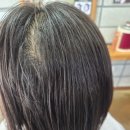 헤어스쿨 - 의정부시 | 울산 장현동 지안헤어스쿨 단발 뿌리볼륨펌 후기